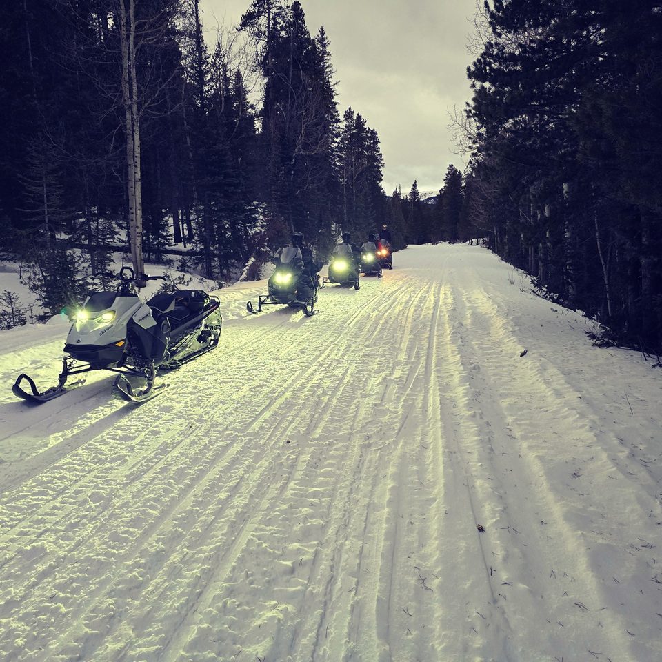 A line of Ski-Doo snowmobiles with headlights on along a groomed trail through spruce and aspen, the guide's white Ski-Doo Summit leading the line