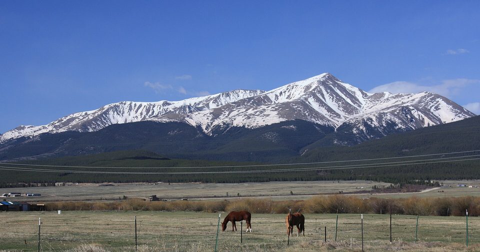 Horses grazing in a fenced pasture below snow-covered Mount Elbert